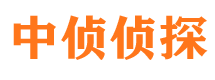 武鸣市调查公司